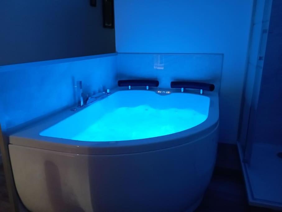 Sejour Sauna Et Jacuzzi Cocon La Roche-sur-Yon Exterior photo
